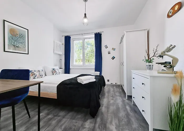 Classy - - Experyment * Gdynia